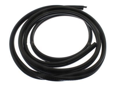 GM 15063153 Weatherstrip