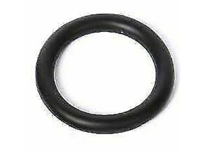 GM 24100002 Filler Cap Seal