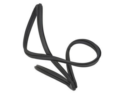 GM 89045103 Weatherstrip