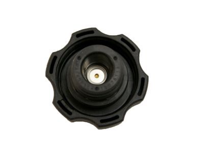 GM 15075118 Recovery Tank Cap