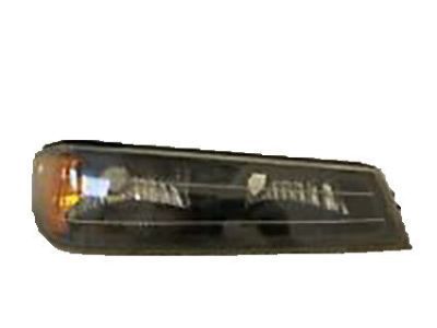 GM 19418418 Park/Turn Lamp