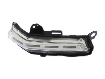 GM 84206439 Signal Lens