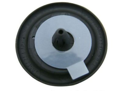 GM 13233501 Protect Cap