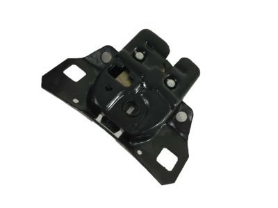 GM 20513752 Latch