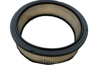 GM 25040929 Filter