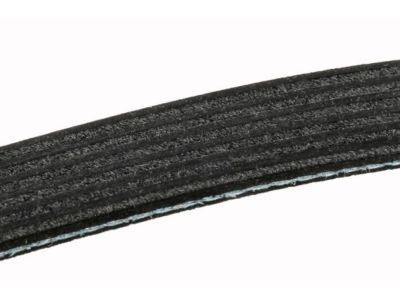 GM 19244944 Belt