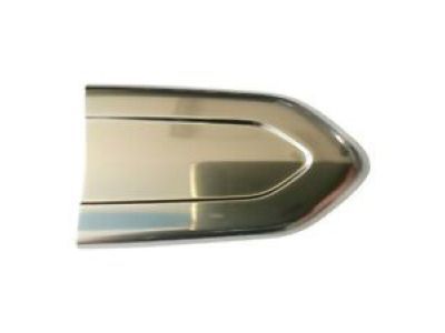 GM 13599545 Cover Kit-Front Side Door Lock Cyl Opening