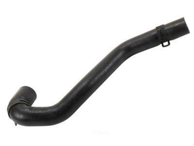 GM 25740124 Upper Hose