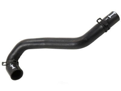 GM 25740124 Upper Hose