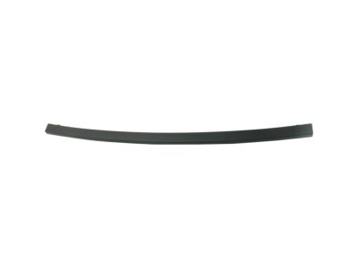 GM 23475983 Center Molding