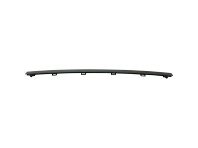 GM 23475983 Center Molding