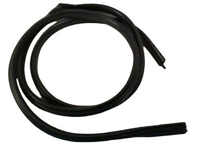 GM 25977403 Door Weatherstrip