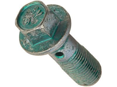 GM 11569590 Inlet Hose Bolt