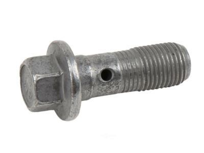 GM 11569590 Inlet Hose Bolt