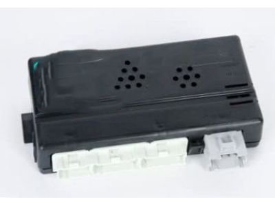 GM 19116645 Body Control Module