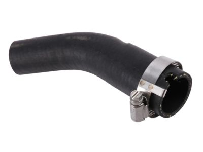 GM 22951233 Lower Hose