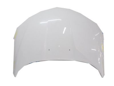 GM 84092169 Hood