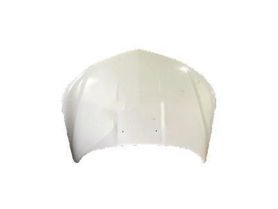 GM 84092169 Hood