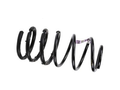 GM 22781672 Coil Spring