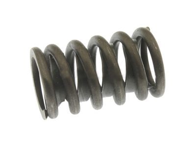 GM 3911068 Valve Springs