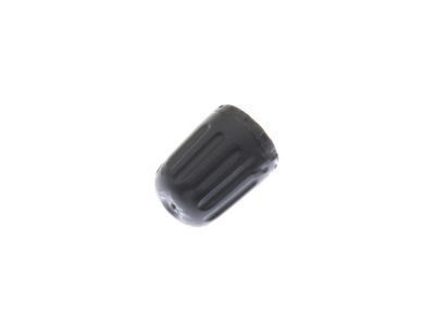 GM 13598913 Repair Kit Cap