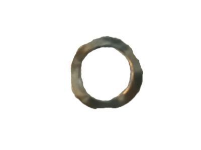 GM 11588888 Handle Washer