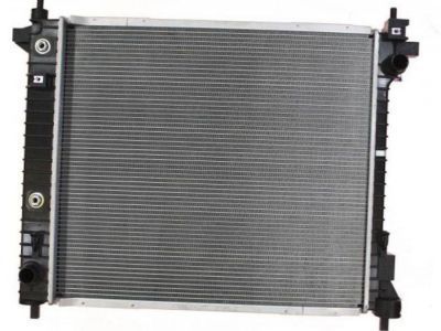 GM 20818748 Radiator Assembly