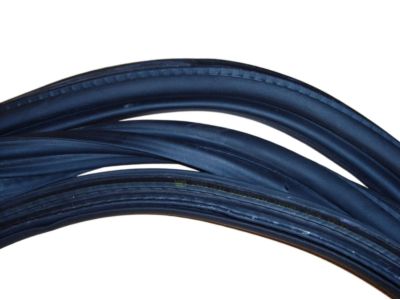 GM 13114514 Weatherstrip