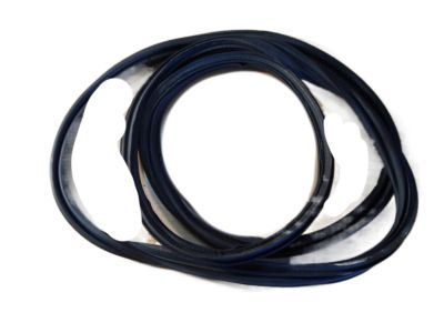 GM 13114514 Weatherstrip