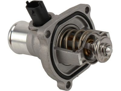 GM 25199828 Thermostat