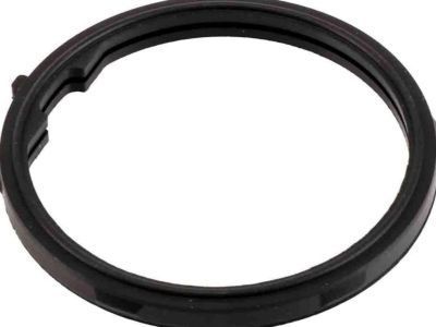 GM 12587397 Water Inlet Seal