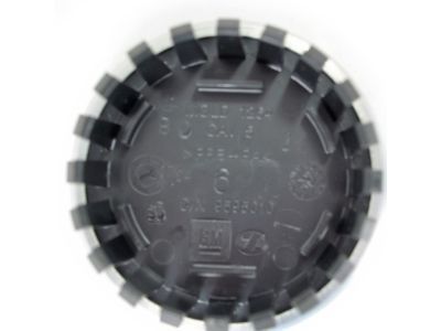 GM 9595011 Center Cap