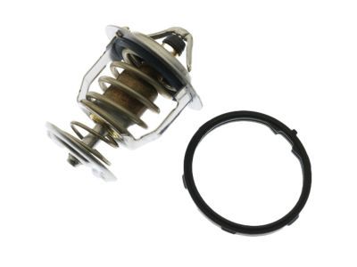 GM 89018168 Thermostat