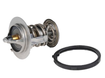 GM 89018168 Thermostat