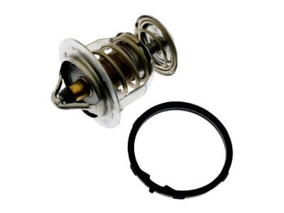 GM 89018168 Thermostat