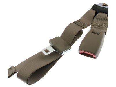 GM 19148942 Inner Buckle