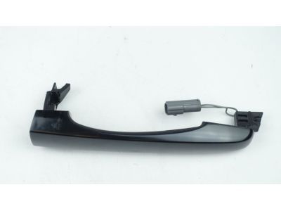 GM 20869089 Handle, Outside