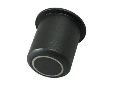 GM 19204643 Knob, Radio Volume Control