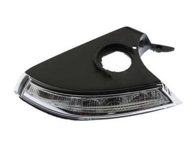 GM 23453749 Turn Signal Lamp