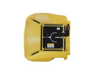 GM 19293263 Occupant Module