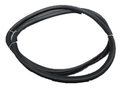 GM 95021340 Door Weatherstrip