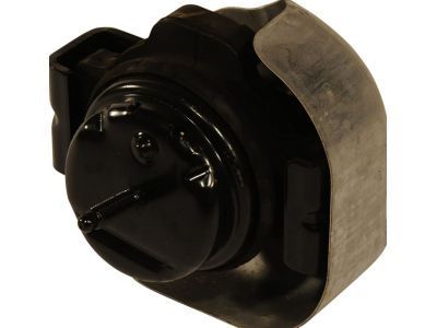 GM 21999166 Front Mount