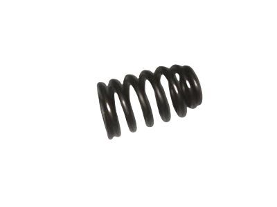 GM 12592506 Valve Springs