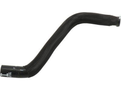 GM 23203513 Lower Hose