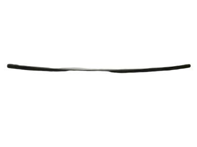 GM 19153353 Wiper, Windshield (Refill)(LH)