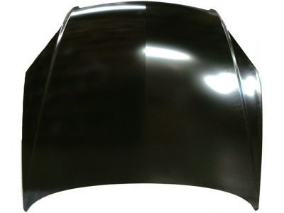 GM 89023526 Hood