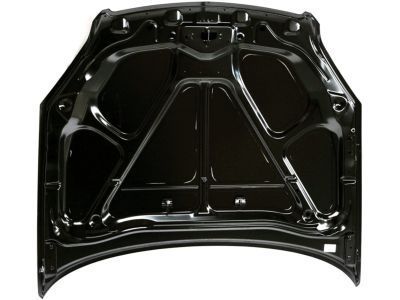 GM 89023526 Hood