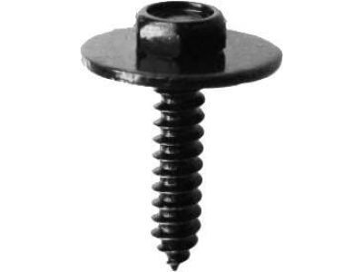 GM 1640810 Module Screw