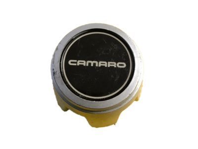 GM 14091960 Hub Cap ASSEMBLY