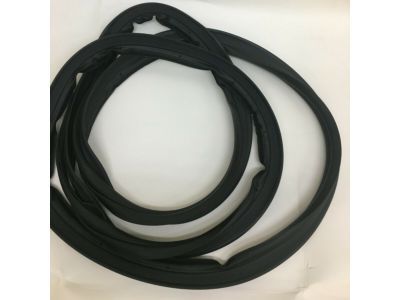 GM 23463343 Weatherstrip